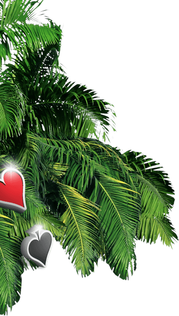 Palm tree background image